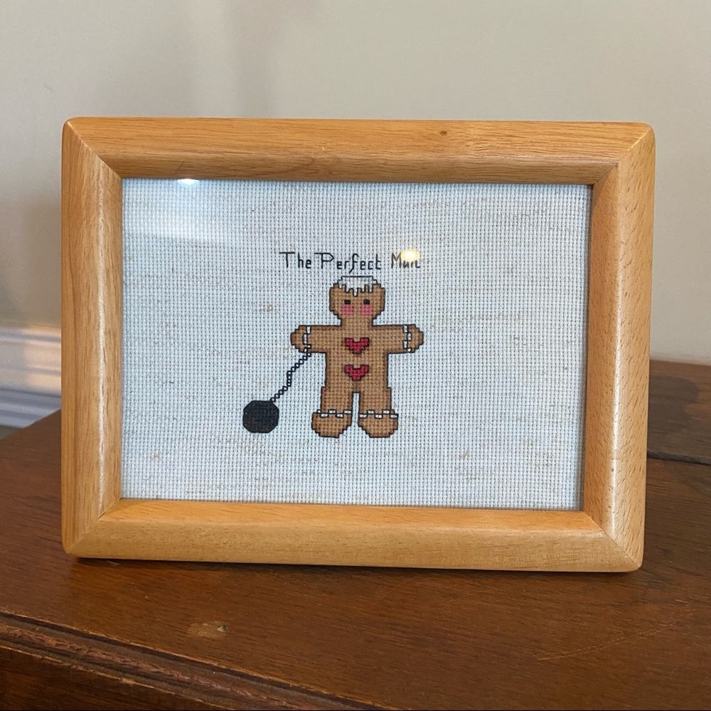 The Perfect Man Framed Cross Stitch Picture Gag‎ Gift Funny White Elephant BFF